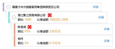 福建大中大数据服务集团 领跑互联网数据服务新赛道